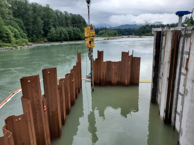Sheet-pile cofferdam installed in an active river channel